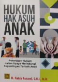 Hukum Hak Asuh Anak : Penerapan Hukum dalam Upaya Melindungi Kepentingan Terbaik Anak